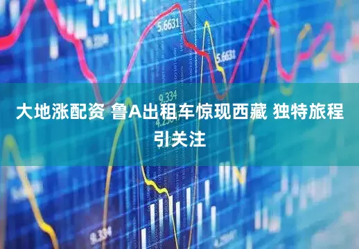 大地涨配资 鲁A出租车惊现西藏 独特旅程引关注