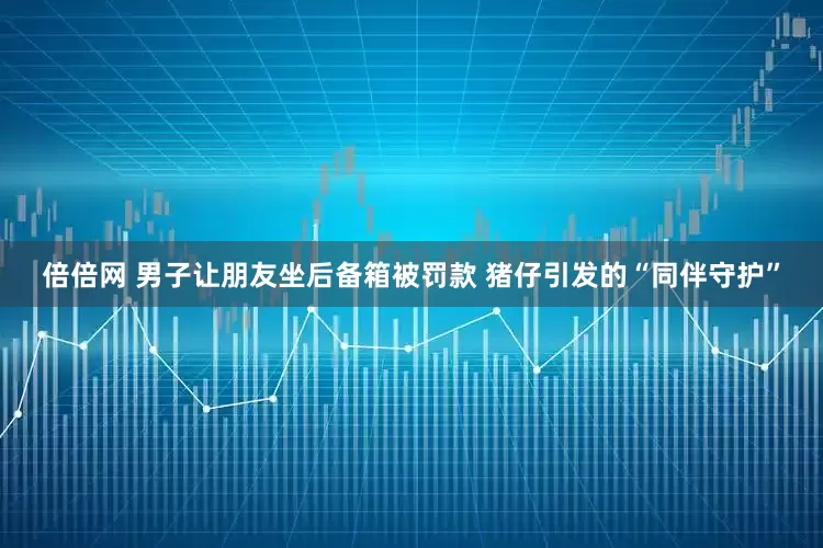 倍倍网 男子让朋友坐后备箱被罚款 猪仔引发的“同伴守护”