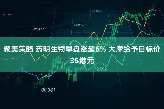聚美策略 药明生物早盘涨超6% 大摩给予目标价35港元