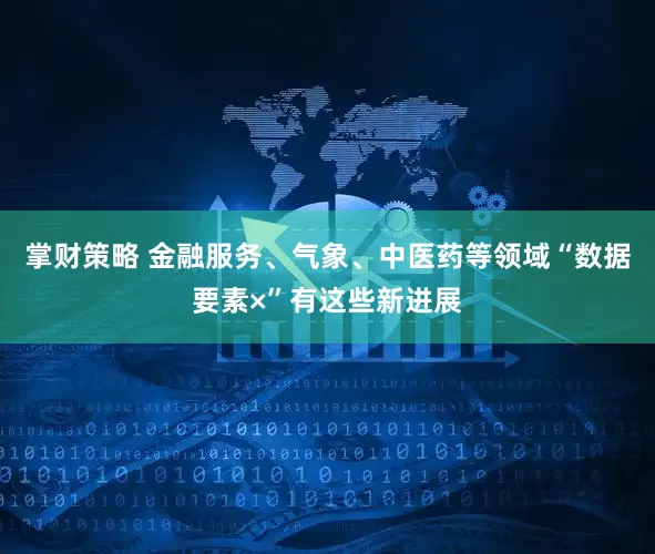 掌财策略 金融服务、气象、中医药等领域“数据要素×”有这些新进展