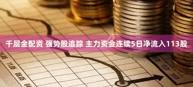 千层金配资 强势股追踪 主力资金连续5日净流入113股